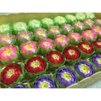 ราคา เหรียญโปรยทานดอกบัวสวรรค์กลีบดอก 2 ชั้น (ตัวเปล่า) (3029513203)