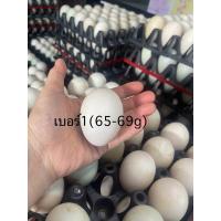 ราคา ไข่เป็ดซีพีเบอร์1 เปลือกหนาฟองใหญ่ไข่แดง (29121933625)