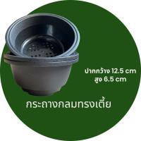 ราคา Mr.Green กระถางบอนไซ ทรงกลม ขนาด 5 นิ้ว กระถางต้นไม้พลาสติก บอนไซ กระถางมินิมอลสีดำ ตกแต่งสวน (13986308208)