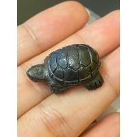 ราคา พญาเต่าเรือน เหล็กไหลเขาอึมครึม ดีทั้งเมตตา โชคลาภ แคล้วคลาดปลอดภัย มหาอุด หลววพ่ออุทัย วัดเกาะตาพุด มีใบฝอยบูชา (25303476245)