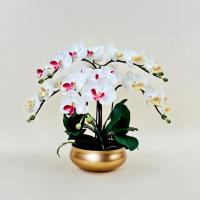 ราคา กล้วยไม้ประดิษฐ์ดอกฟาแลนด์ จัดทรงพุ่มรอบด้าน ดอกไม้ปลอมตกแต่งบ้าน (28175813229)