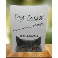ราคา (EXP.04/2026) Renavast cat อาหารเสริมโปรตีนสำหรับแมวโรคไต 60 แคปซูล (11702536257)