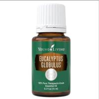 ราคา Young Living Eucalyptus Globulus Essential Oil 15ml น้ำมันหอมระเหย ยูคาลิปตัส โกลบูลัส ยัง ลิฟวิ่ง 15มล. (26263815615)