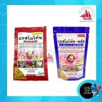 ราคา ออสโมโค้ท ปุ๋ยต้นไม้ สูตร 13-13-13 และ สูตร 12-25-6 ขนาด 100 กรัม (16027438314)