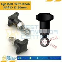 ราคา Eye Bolt With Knob / Eye Bolt Steel (14195330387)