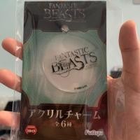 ราคา Fantastic Beasts and where to find them แฟนแทสติกบีท พวงกุญแจของแท้ (22956823245)