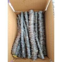 ราคา บอระเพ็ดสด ท่อนพันธ์บอระเพ็ด 1 กิโลกรัม (41261358317)