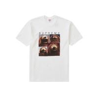 ราคา Supreme Rowlf Tee (WHITE) (25767603630)