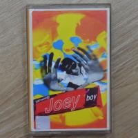 ราคา เทปเพลง เทปคาสเซ็ทเพลง joey boy แท้ มือสอง สภาพใหม่ (43025801437)
