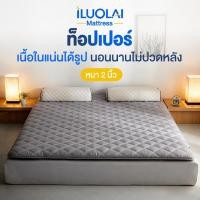 ราคา ILUOLAI ที่นอน ท็อปเปอร์ ที่นอนเพื่อสุขภาพ 3ฟุต 4ฟุต 5ฟุต 6ฟุต Softtopper พับได้ หนานุ่ม สบาย Topper (57155313554)