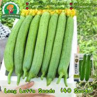 ราคา เมล็ดพันธุ์ บวบหอมยาว งอกง่าย 40เมล็ด/ซอง บวบหอม สายฟ้า High Yield Long Luffa Seeds for Planting Vegetables Plant Seed (42721792640)