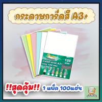 ราคา กระดาษการ์ดสี ขนาด A3+ หนา 120g,150g,180g ( 30.5 x 48.2 cm.) พื้นผิวเรียบ บรรจุ 100 แผ่น (10002570646)