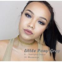 ราคา Sweety little pony gray (ค่าสายตา-175) (88188326)
