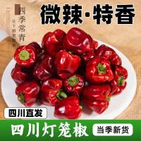 ราคา พริกพริกหยวกแห้ง 500ก เสฉวนเผ็ดทะเลพริกไทยเผ็ดเล็กน้อยหอมพิเศษเชิงพาณิชย์สีแดงรอบสินค้าแห้งพริกหยวก [สรี] (54855768759)