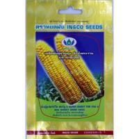 ราคา เมล็ดพันธุ์ข้าวโพดหวาน ฟอร์ยู8 ตราหยดฝน ขนาด 10 กรัม (5188447043)