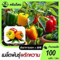 ราคา พริกยักษ์หวาน คละสีเมล็ดพันธุ์พริกยักษ์หวาน 100 เมล็ด☘️ปลูกง่าย☘️โตไวผลดก (26774615769)
