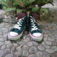 ราคา Converse all star Christmas U.S.A (4109557543)