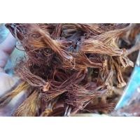 ราคา ดอกงิ้ว (ดอกเงี้ยว) น้ำหนัก 25 กรัม Red cotton tree flowers dried ผลผลิตใหม่ของปี 2566 เหมาะสำหรับทำขนมจีนน้ำเงี้ยว N... (21958531913)