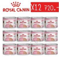ราคา Royal Canin Mother&Baby Cat 12 กระป๋อง (195 กรัม/กระป๋อง) อาหารเปียก แบบเนื้อมูส สำหรับลูกแมวและแม่แมว (14795683256)