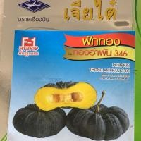 ราคา เมล็ดพันธุ์ฟักทอง พันธุ์ ทองอำพัน 346 (1973475882)