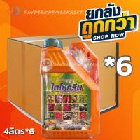 ราคา (ยกลัง*6) ไดโซกรีน เวสโก้ ขนาด 4 ลิตร สาหร่ายทะเลสกัดน้ำเขียวเข้มข้น + อาหารเสริมพืช ฟื้นต้น เปิดตาดอก เพิ่มความสมบูรณ์ (27525357378)