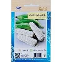 ราคา เมล็ดพันธุ์​ ข้าวโพดหวาน ข้าวโพดสำลี เจียไต๋ (3326568828)