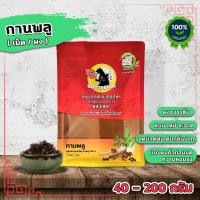 ราคา กานพลู ผงกานพลู (แบบผงคั่วก่อนบด หอมมาก) 40-200กรัม ดอกกานพลู กานพลูแห้ง (16574764185)