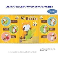 ราคา Putitto Puchi Rascal (322000457)