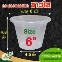 ราคา กระถาง กระถางต้นไม้พลาสติก กระถางปลูกต้นไม้ กระถางต้นไม้ กระถางใส กระถางพลาสติก สีใส ขนาด 6 นิ้ว (12788980606)