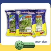 ราคา ผักบุ้งจีน เย็นตาโฟ บิ๊กโฟร์ เมล็กพันธุ์ผักบุ้งจีน เย็นตาโฟ บิ๊กโฟร์ ตรา3A ปริมาณ 1 กิโลกรัม (25550114915)