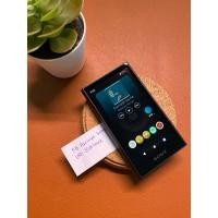 ราคา Sony Walkman NW-306 (32GB) (25404061806)