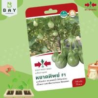 ราคา เมล็ดพันธุ์ มะเขือเปราะลูกผสมF1หยาดทิพย์ (22549800957)