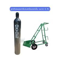 ราคา ถังลมออกซิเจน ขนาด 6 คิวพร้อมรถเข็น (40153268347)