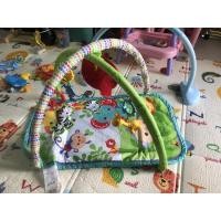 ราคา play gym เพลย์ยิม fisher price (19030703288)