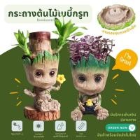 ราคา กระถาง พร้อมส่ง เบบี้กรูท 15 cm groot pot model figure (27253248596)