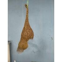 ราคา รังนกกระจาบ นกกระจิบ (6755469186)