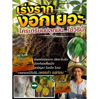 ราคา 【เห็นผลใน7วัน!】HFH อาหารเสริมดินเร่งโตพืช/ปรับสภาพดินให้สมบูรณ์/ปุ๋ยอินทรีย์คุณภาพสูง/ฟูมฟักพืชทุกชนิด/เพิ่มธาตุอาหารดิน (43428390225)