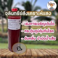 ราคา 2 ชิ้น จุลินทรีย์สังเคราะห์แสง PSB ขนาด1ลิตร สูตรเข้มข้นสีแดงสด ใช้ขยายเชื้อต่อได้ไม่รู้จบ (54156563212)