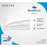 ราคา SANTAS ไส้ผ้านวม รุ่น DACRON® RESILIENCE™ (4432967239)