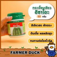 ราคา กระเจี๊ยบเขียว ฮิซาโอะ ( ส่งฟรี ) เมล็ดพันธ์ุ กระเจี๊ยบเขียว เขียวสด ฝักตรง ทนไวรัส ตรา เสือดาว บรรจุ 50 กรัม (24812535042)