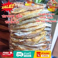 ราคา ปลาช่อนทะเล (ใหญ่ /ผ่าเล็ก) ขนาด 500 กรัม ตัวปลาขนาดกลาง เนื้อบาง รสชาติ ไม่เค็ม ทอดเเล้ว กรอบ อร่อย เริ่ด (41152488435)