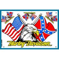 ราคา สติกเกอร์ติดรถ Stickerนกอินทรีย์ USA สีฟ้า สติกเกอร์นกอินทรีย์ สติกเกอร์แต่งรถ มอเตอร์ไซค์ รถยนต์ รถแข่ง หมวกกันน็อค (20780240484)