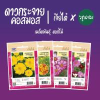 ราคา เมล็ดดอกไม้ เมล็ดดอกดาวกระจาย เมล็ดดอกคอสมอส เมล็ดคอสมอส ดาวกระจาย คอสมอส cosmos l เจียไต๋ เมล็ดพันธุ์ดอกไม้ ปลูกดอกไม้ (8982226016)