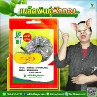 ราคา เมล็ดพันธุ์ผัก ฟักทองลูกผสม ทิพย์ทอง (THIPTHONG) ต้นใหญ่ โตดี ผลสวย พูใหญ่ หนาแน่น รสชาติดี 3 ซอง คูลเกษตร KX02 (57854126335)