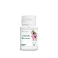 ราคา Nutrilite Cistanche ซิสแทนเช บำรุงสมอง (แอมเวย์ไทย) (5729940108)