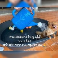 ราคา กระบะไนล่อน อ่างเปล แข็งแรงทนทาน อ่างปลา อ่างแช่น้ำ อ่างอาบน้ำหมา อ่างเลี้ยงปลา (7417735199)