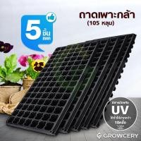 ราคา [G] (Set 5 ใบ/แพ็ค) ถาดเพาะกล้า ถาดหลุม ถาดเพาะ จำนวน 105 หลุม โดย GROWCERY (8420832677)