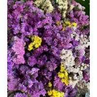 ราคา ดอกไม้แห้ง ดอกสแตติสแห้ง กำละ 40 บาท สูง30-34ซม. (47857251997)