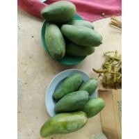 ราคา มะม่วงเขียวเสวยมะม่วง/น้ำดอกไม้สีทอง/หนองแวง/มะม่วงหลากหลายก.กละ70บาท (17360042793)