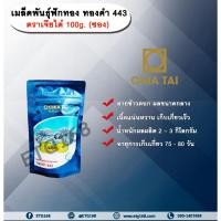 ราคา เมล็ดพันธุ์ฟักทอง ทองคำ 443 ตราเจียไต๋ 100g. (ซอง) เมล็ดพันธุ์ เมล็ดพันธุ์ผัก เมล็ดพันธุ์พืช เมล็ดพันธุ์ฟักทอง (29403489703)